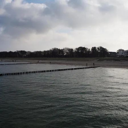 Strandmuschel