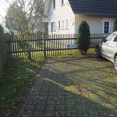 Strandmuschel Zingst