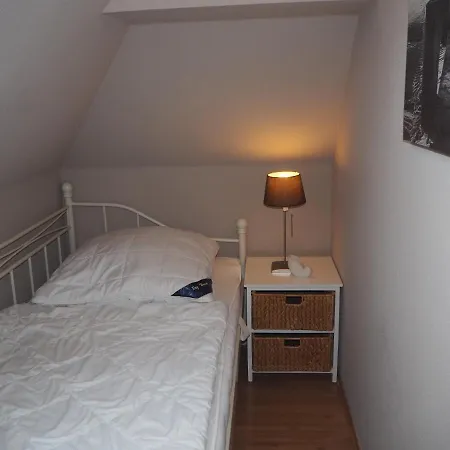 Strandmuschel Zingst