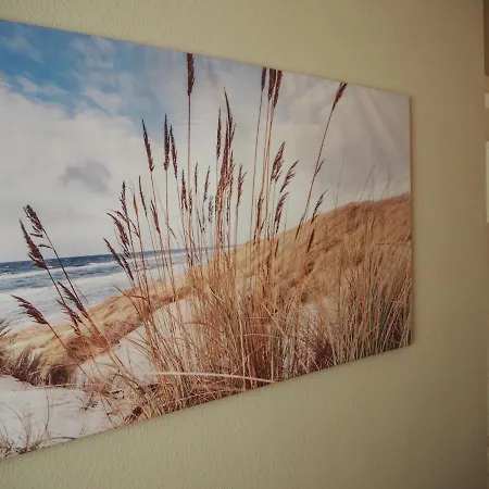 Strandmuschel Zingst