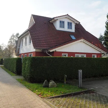 Strandmuschel Zingst